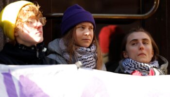 Greta Thunberg y otros activistas climáticos bloquean Parlamento sueco