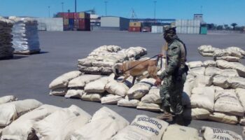 México registró un gran aumento en incautaciones de drogas sintéticas: ONU