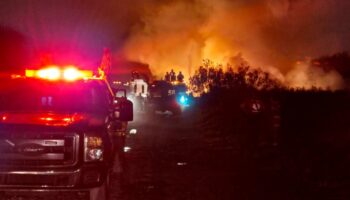 Controlan incendio en Vaso Regulador de Cristo, en Naucalpan