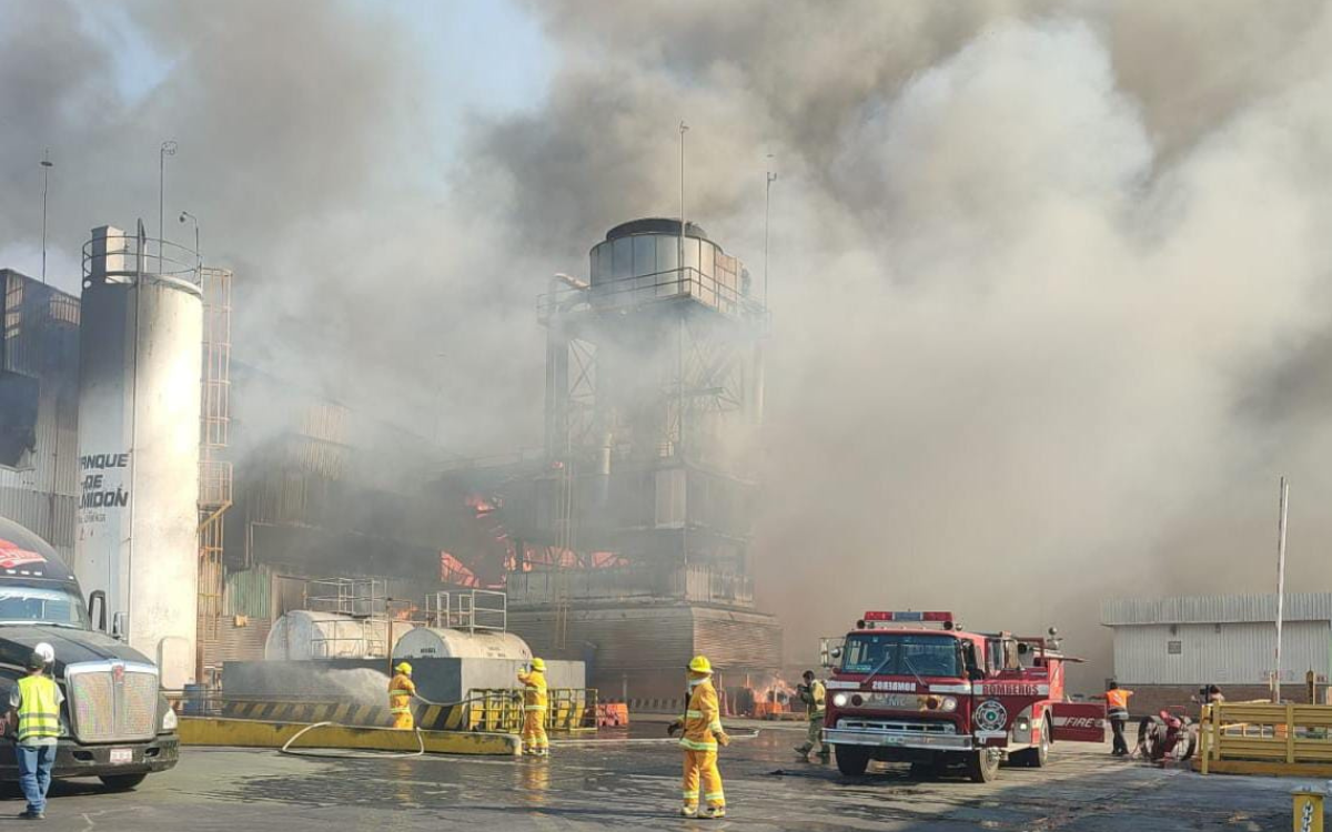 Arde en llamas la fábrica de International Paper en Veracruz | Video