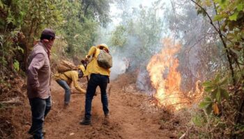 Fallece quinto brigadista en incendios del Edomex