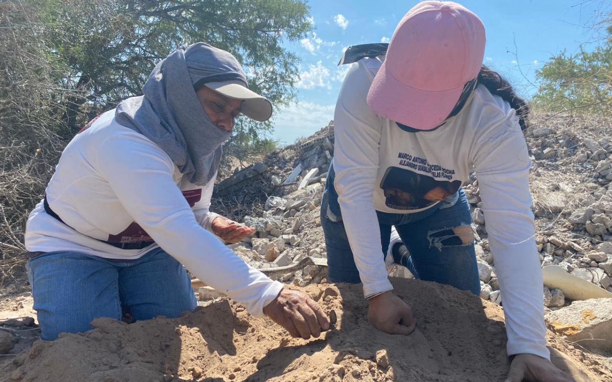 Desaparece buscadora Lucero Berenice Romo en Tlaquepaque, Jalisco ...