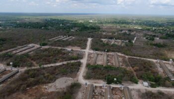 Yucatán: Hallan más de 300 granjas porcinas contaminantes que no fueron detectadas por Semarnat