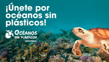 Greenpeace va por iniciativa legislativa antiplásticos ¡Necesitan 200 mil firmas!