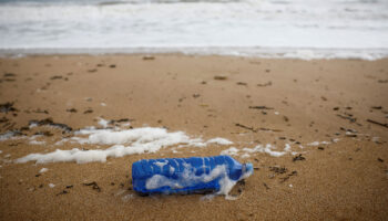 La UE dice adiós a empaques de plástico de un solo uso a partir de 2030