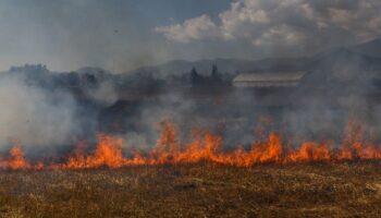Quema de tierra para fines agrícolas hace que incendios se propaguen con mayor facilidad: Probosque | Entérate