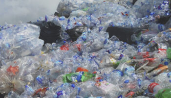 WWF impulsa en México un pacto empresarial para reducir el uso del plástico