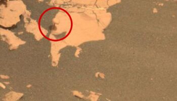 'Perseverance' encuentra roca en forma de 'seta' en el suelo de Marte