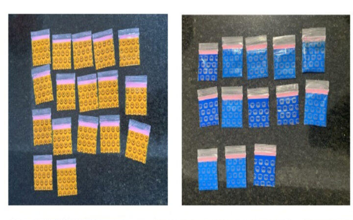 Grupo delictivo 'Los Malcriados' vendía 'cocaína rosa' en Álvaro Obregón Grupo delictivo 'Los Malcriados' vendía 'cocaína rosa' en Álvaro Obregón