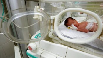 Muere bebé rescatada por cesárea del vientre de su madre fallecida tras un ataque israelí en Gaza