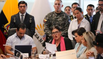 Mexicana con cargo de Ministra en Ecuador solicitó el ingreso a embajada para detener a Glas