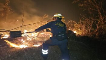Quemas agrícolas no controladas provocan un tercio de incendios forestales