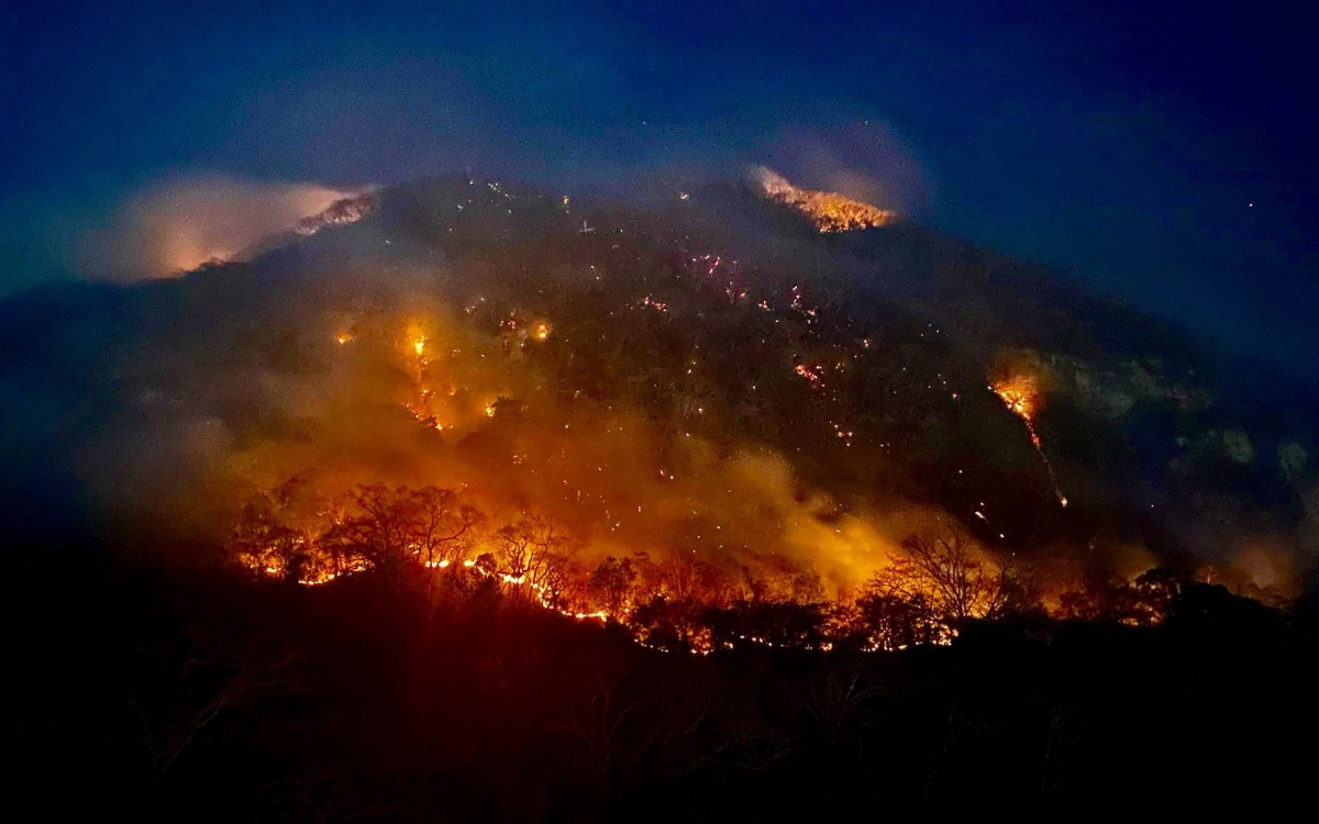 Incendios son por sequía, no por ‘malas intenciones’ de desarrolladores: AMLO