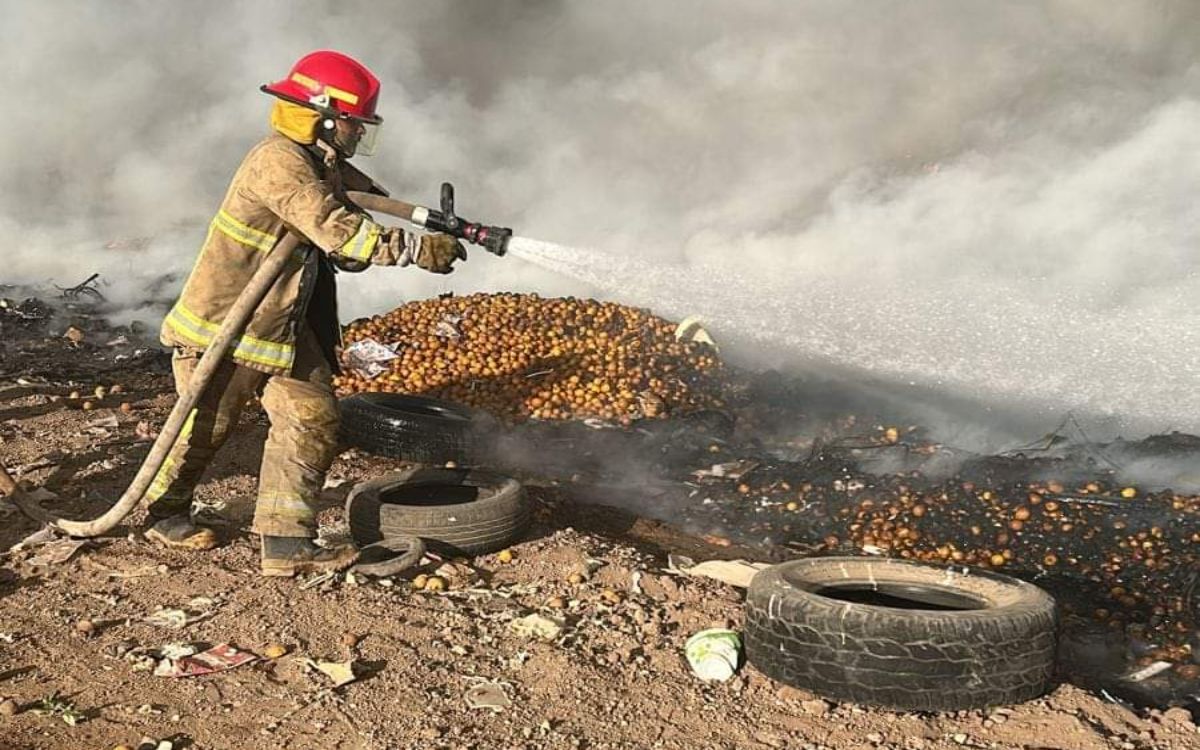 Piden que la figura de ‘bomberos’ sea reconocida legalmente en México