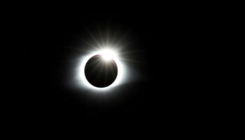 ¿Cómo afectará el eclipse solar a los animales?