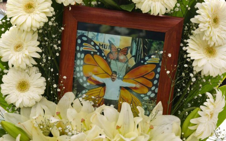 'El guardián de las monarcas', documental sobre Homero Gómez llega a cines y Netflix 'El guardián de las monarcas', documental sobre Homero Gómez llega a cines y Netflix