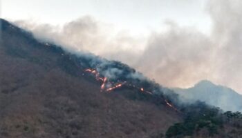 Incendio en la Selva de los Chimalapas, Oaxaca sigue ardiendo tras 11 días