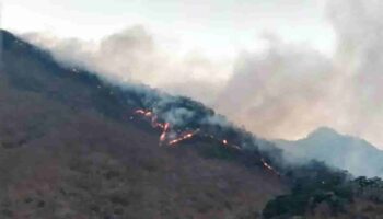 Incendio la Selva de los Chimalapas, Oaxaca, consume 16 mil hectáreas de bosque; lleva 18 días activo