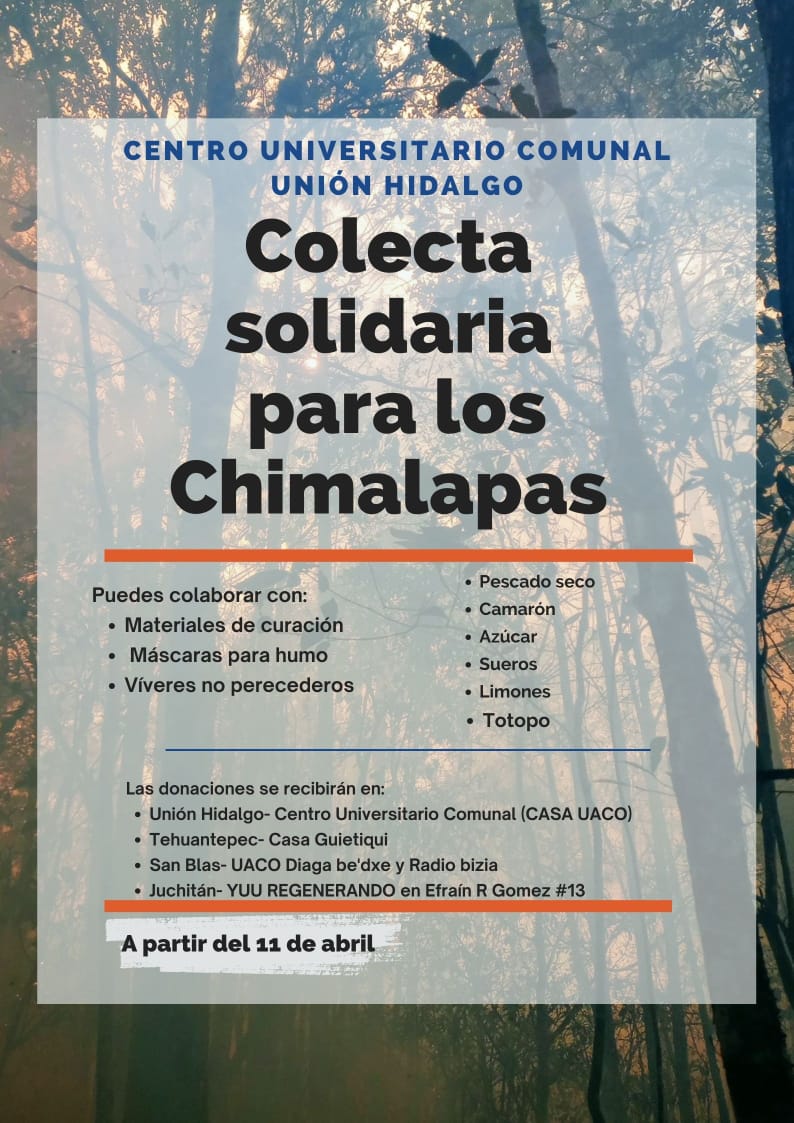 incendio la selva de los chimalapas, oaxaca, consume 16 mil hectáreas de bosque; lleva 18 días activo