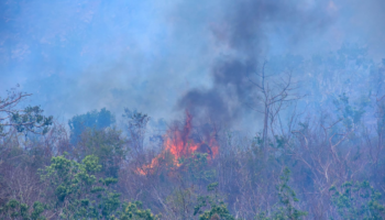 Paso de Otis en Guerrero causó alto riesgo de incendios forestales; 19 activos