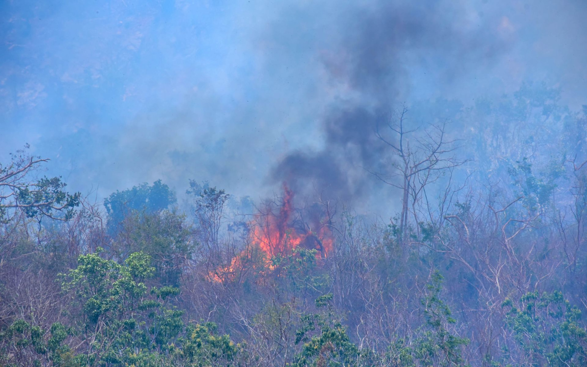 Paso de Otis en Guerrero causó alto riesgo de incendios forestales; 19 activos