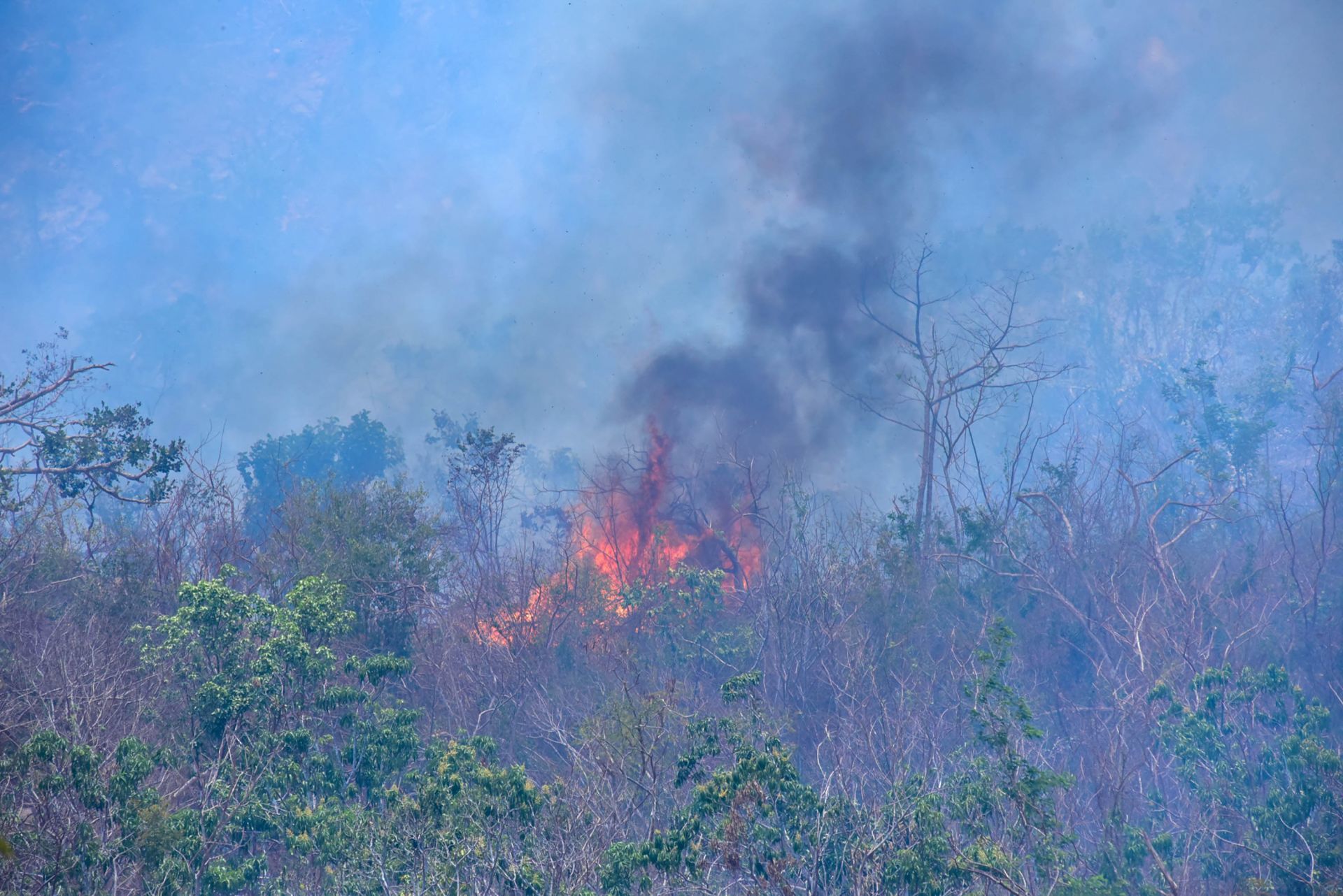 Incendios Azotan Acapulco A 6 Meses Del Paso Del Huracán Otis