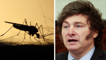 Argentina: El dengue hace estragos y el Estado, ausente