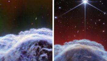 Telescopio James Webb capta la nebulosa 'Cabeza de Caballo' con un detalle sin precedentes