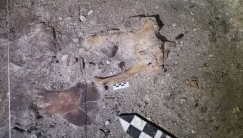 Descubren un chultún (compartimento subterráneo en forma de botella) en la Zona Arqueológica de Tulum