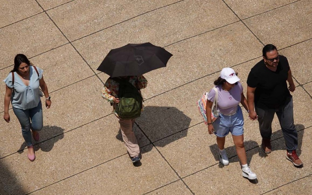Protección civil alerta sobre ‘altos Índices de Radiación UV’ en DMX; sigue estas recomendaciones