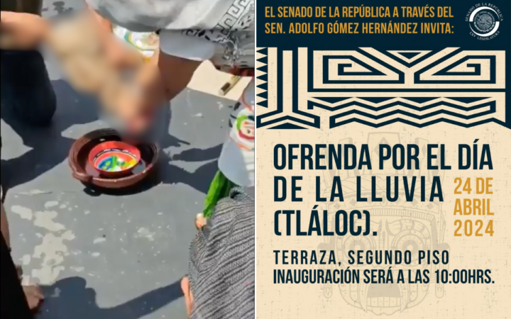 Sacrifican a una gallina en el Senado durante 'Ofrenda por el Día de la Lluvia' | Video