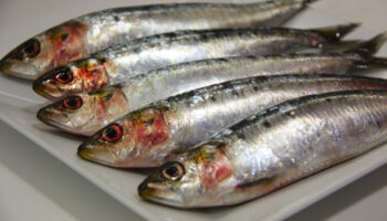 Comer más sardinas y menos carne roja podría salvar hasta 750 mil vidas en 2050