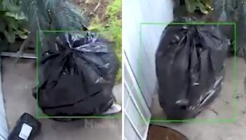 Video | Se disfraza de bolsa de basura y roba paquetería de la entrada de una casa