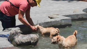 ¡33 grados! Doble alerta por altas temperaturas en CDMX