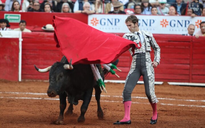 Toros de lidia se extinguirán en dos años con "corridas sin sangre": Ganaderos