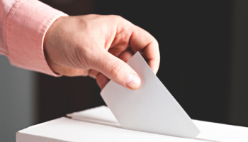 Voto estratégico y votación diferenciada | Artículo de Rogelio Muñiz Toledo