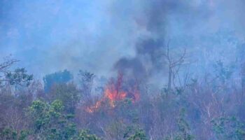 Aumentan a 205 los incendios forestales activos en el país