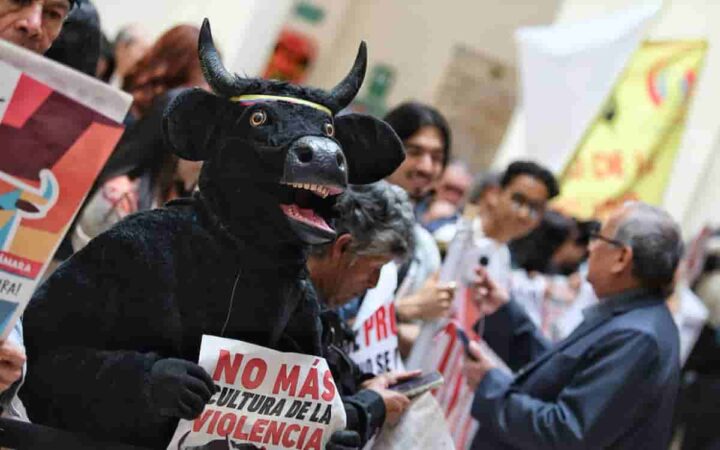 Congreso de Colombia prohíbe las corridas de toros en todo el país Congreso de Colombia prohíbe las corridas de toros en todo el país