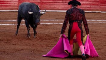 Suspenden nuevamente las corridas de toros en la CDMX