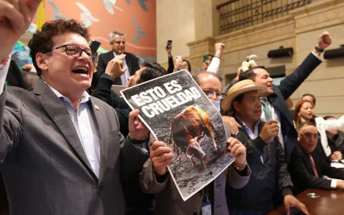 Colombian government applauds bullfighting ban;  This is “ethical progress”