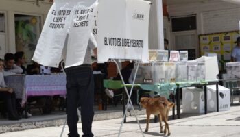Elecciones no están definidas todavía, las definirá el número de personas que emitan voto: Sonnleitner | Entérate