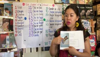 Friddamir Romero, la maestra guardiana del zapoteco