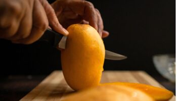 Las Plumas de la Serpiente: Mangos de la tierra y de nuestros recuerdos