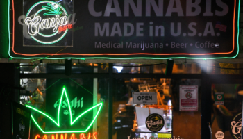 Venta legal de marihuana en EU ha generado más de 20,000 millones de dólares en impuestos