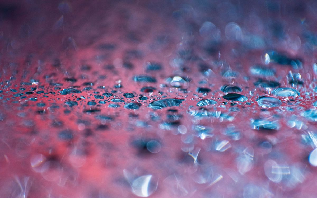 Encuentran microplásticos en testículos humanos: ¿una amenaza para la fertilidad? Encuentran microplásticos en testículos humanos: ¿una amenaza para la fertilidad?