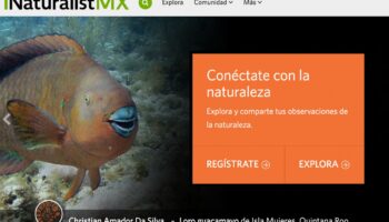 ¿Quieres tener un biólogo en tu bolsillo? Descubre 'Naturalista' y 'Somos Naturalistas' | Video