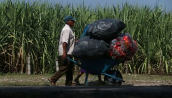 En México, 48 millones de personas están en situación de pobreza laboral: Sofia Ramírez | Entérate