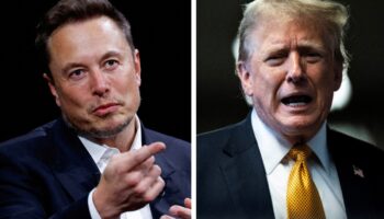 Trump considera convertir a Elon Musk en asesor político de ganar las elecciones