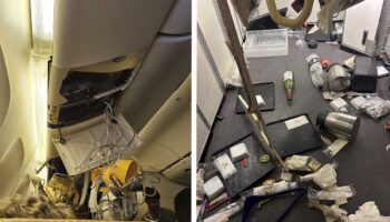 'El avión tembló y, un segundo después, cayó': pasajero del vuelo de Singapore Airlines | Videos