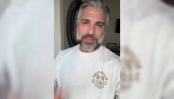 ¿Jaime Camil violó la veda electoral?